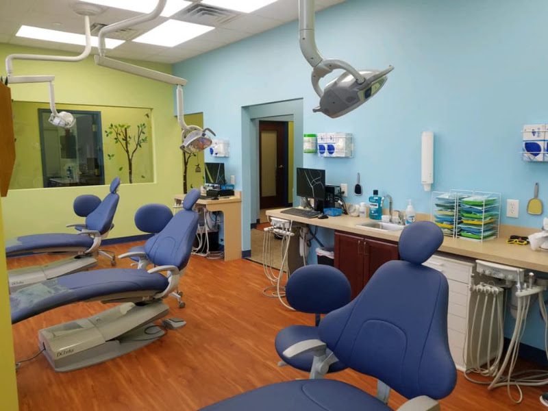 Lanz Pediatric Dentistry 2