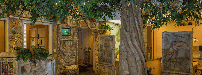 Jungle Roots Children's Dentistry & Orthodontics