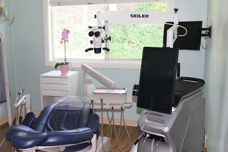 Delta Root Canal